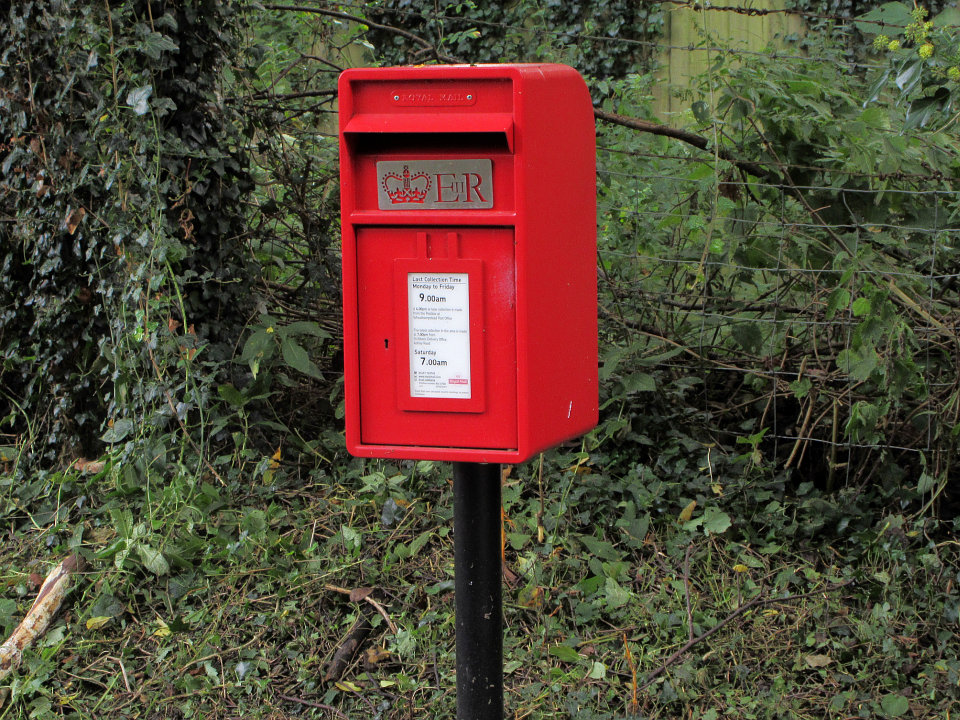View full-size image
