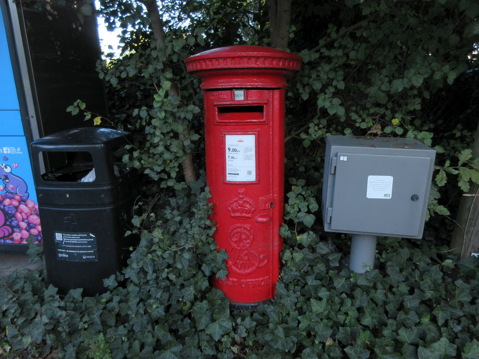 View full-size image