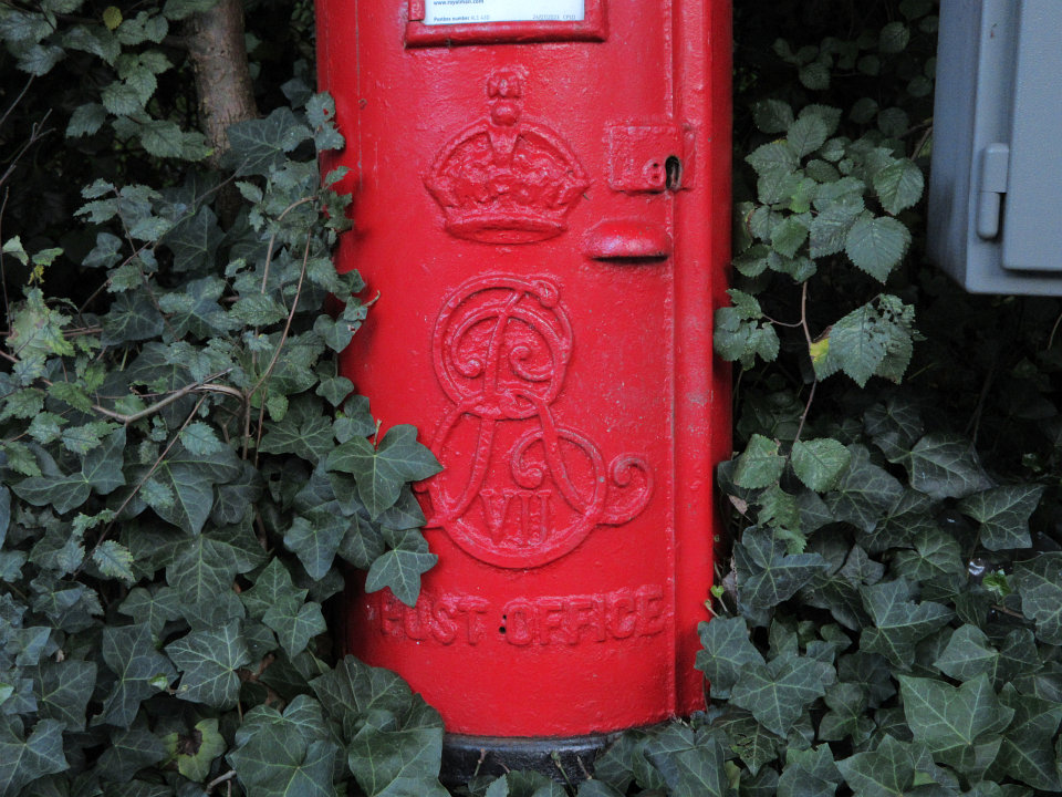 View full-size image