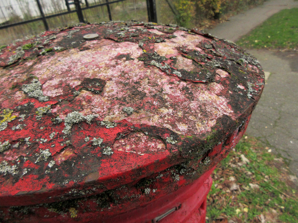 View full-size image