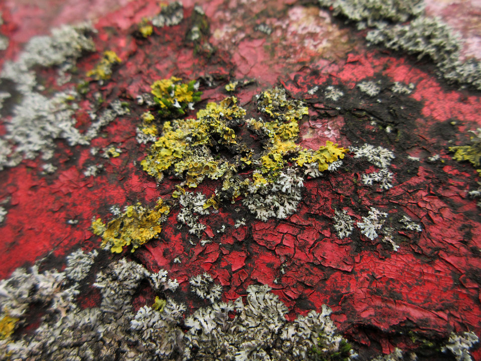 View full-size image