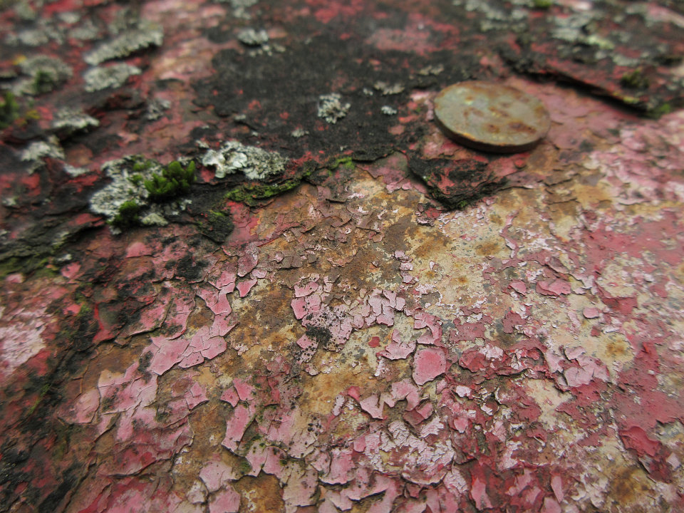 View full-size image