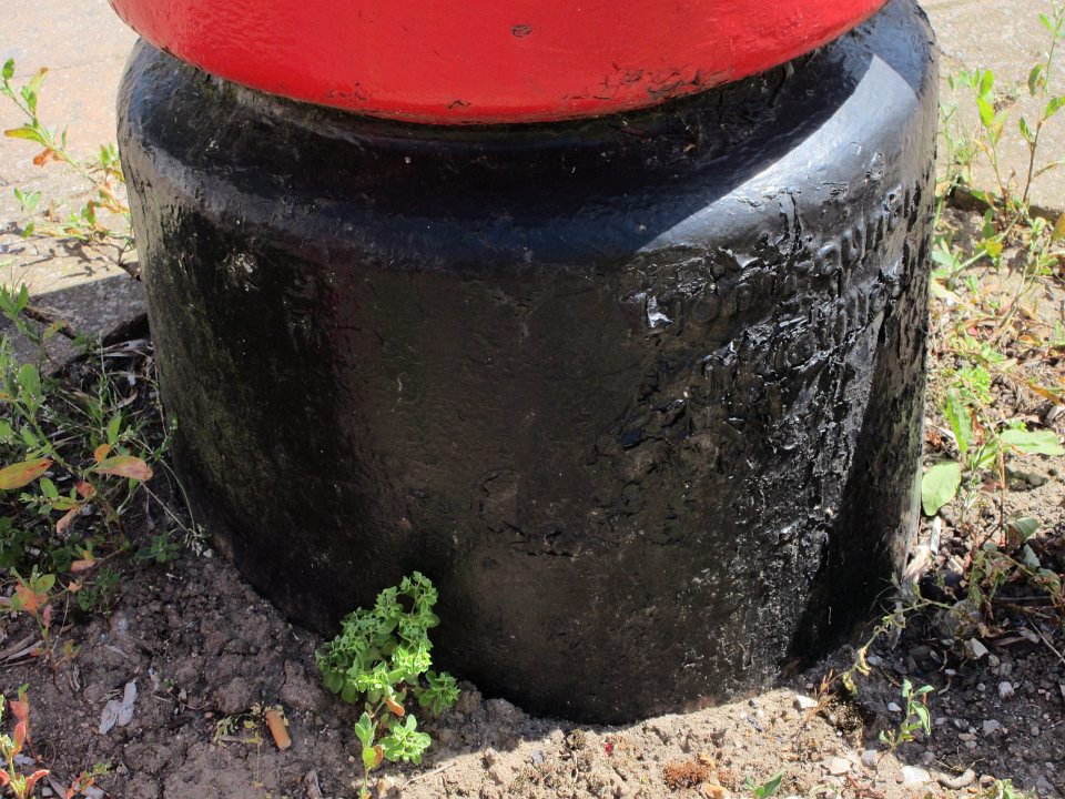 View full-size image