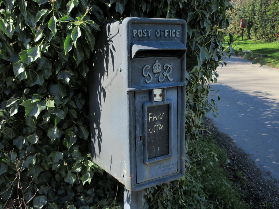 View full-size image