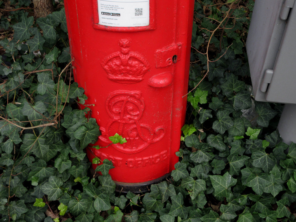 View full-size image