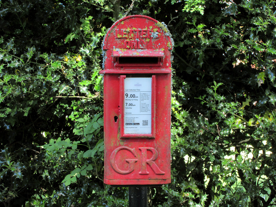View full-size image