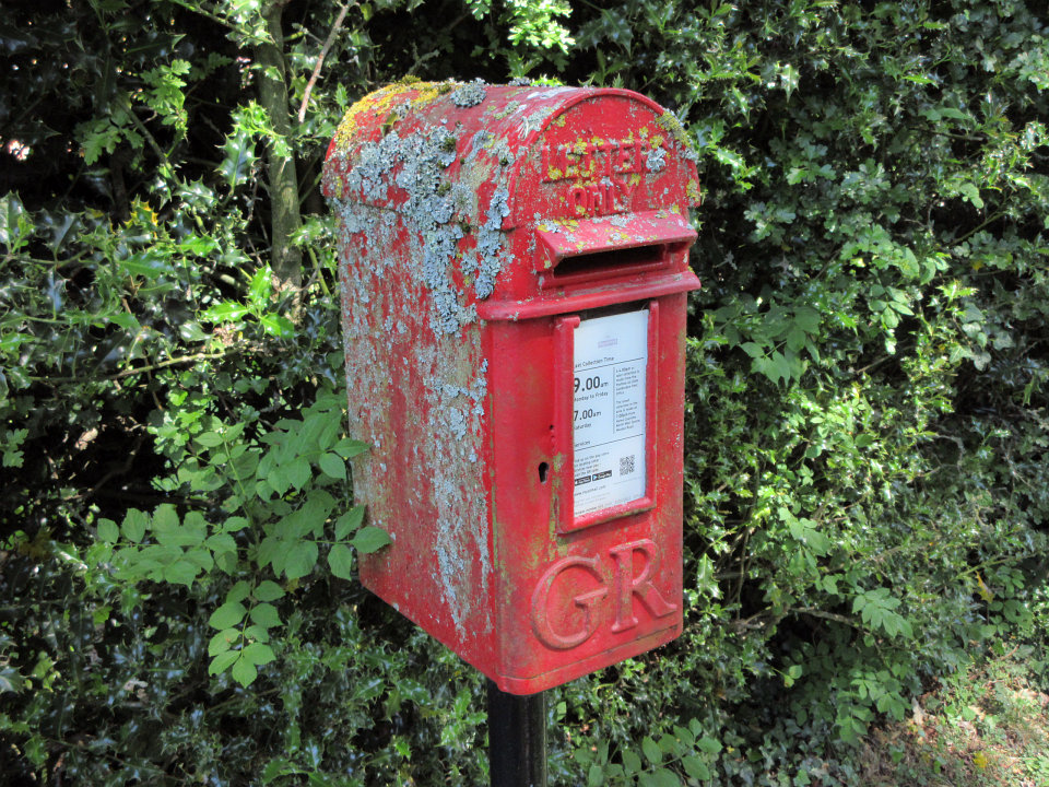 View full-size image