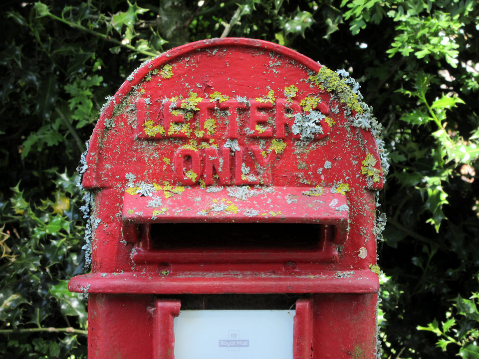 View full-size image