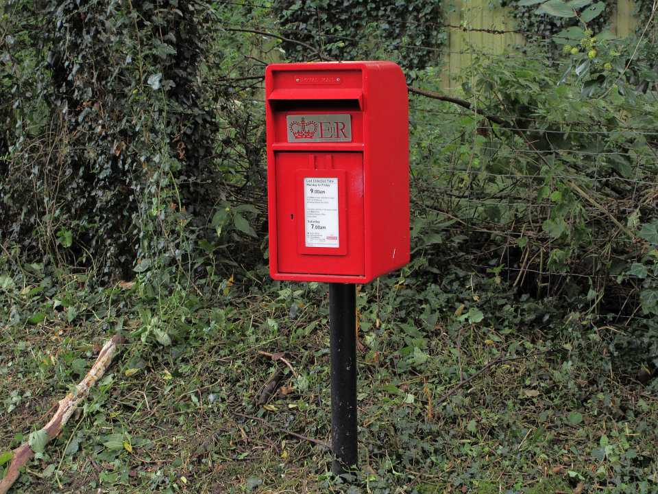 View full-size image