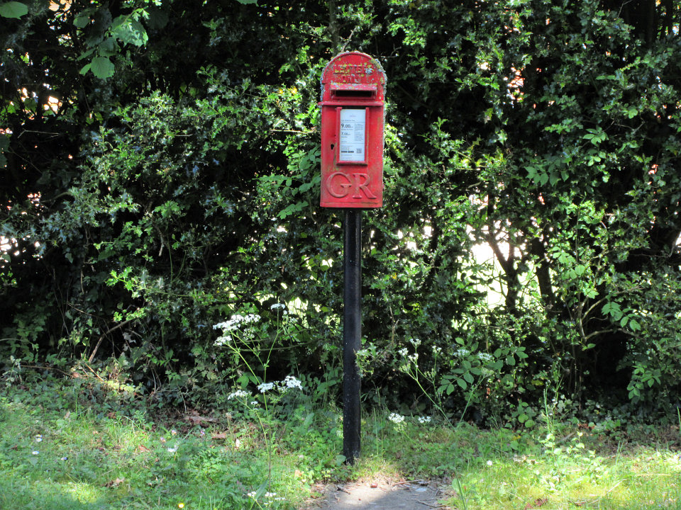 View full-size image