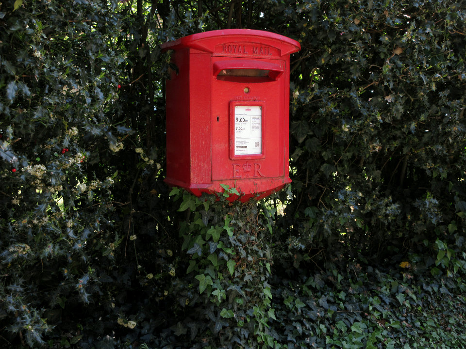 View full-size image