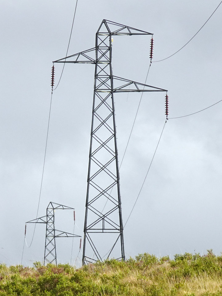 View full-size image