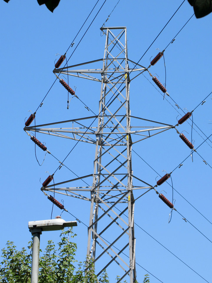 View full-size image