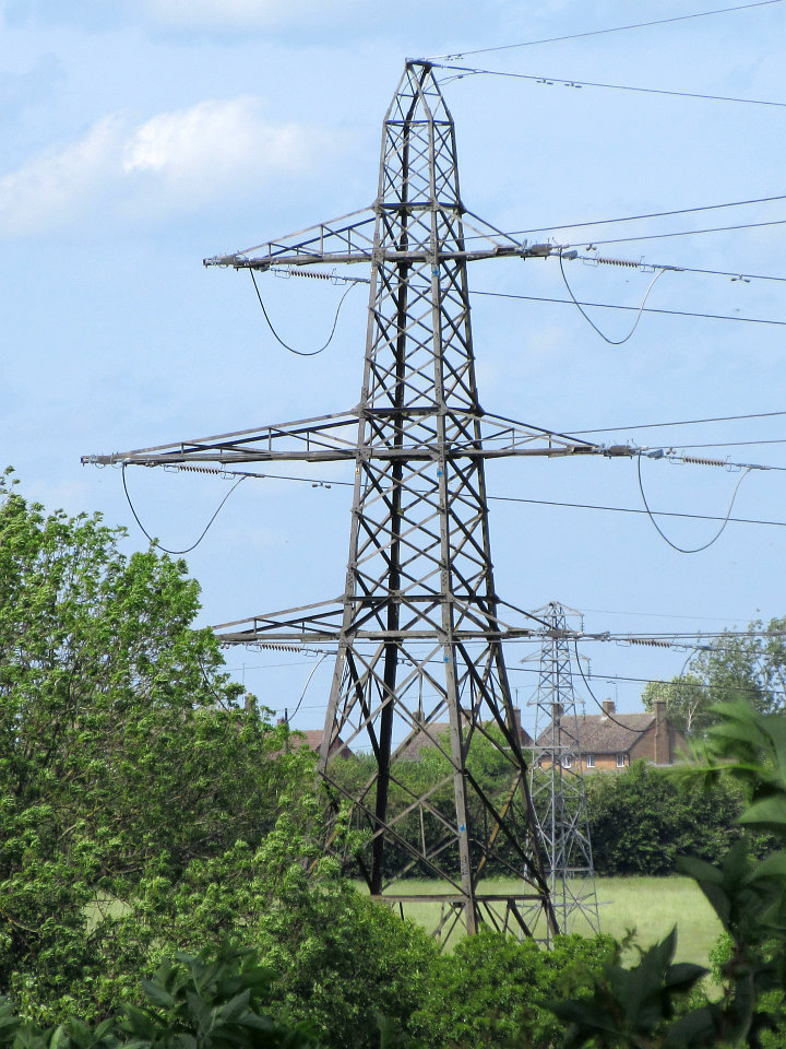 View full-size image
