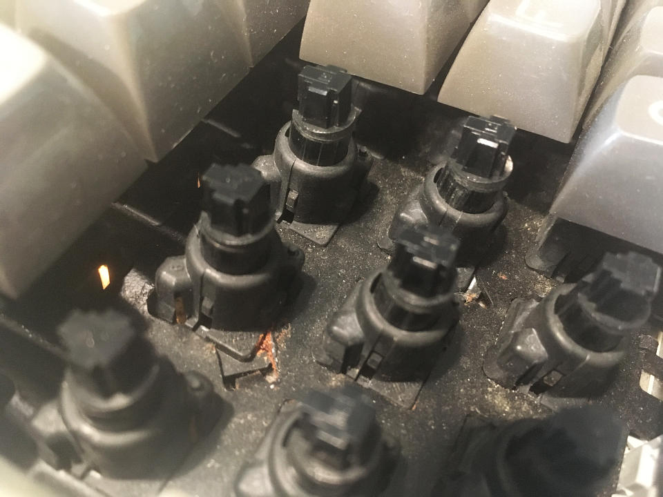 View full-size image