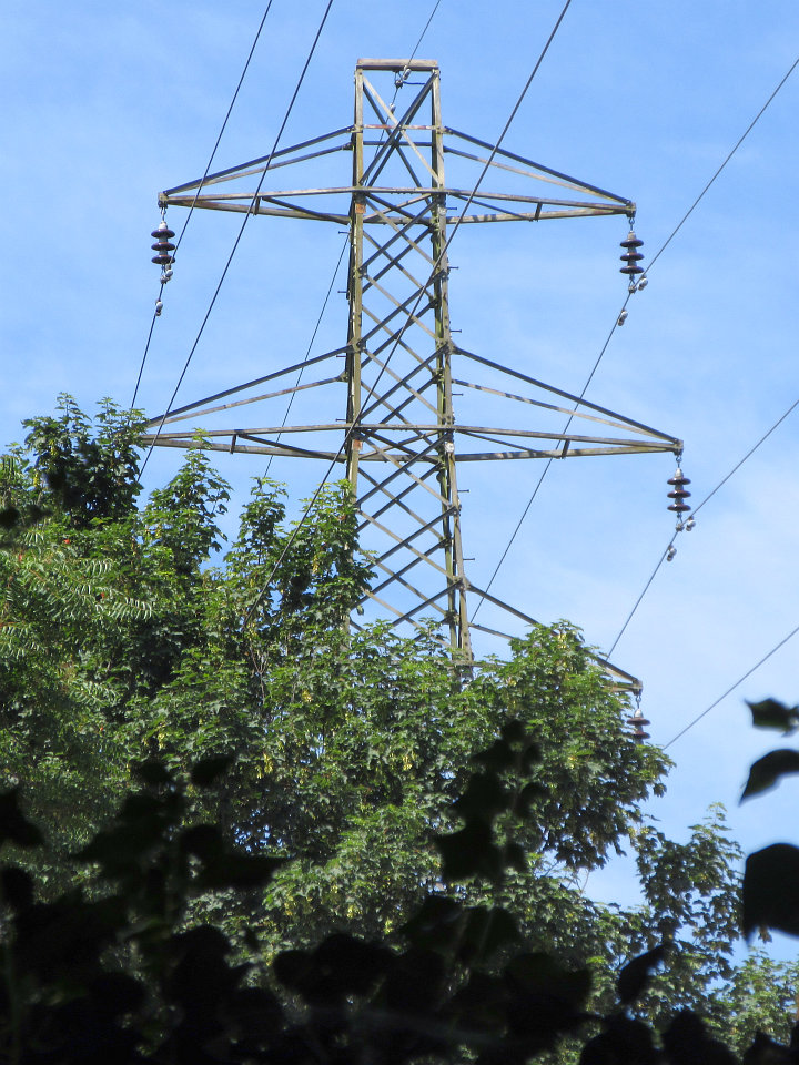 View full-size image
